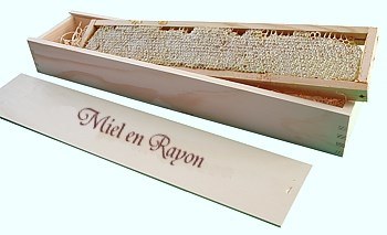 Cadre de Miel en rayon avec ses alvéoles