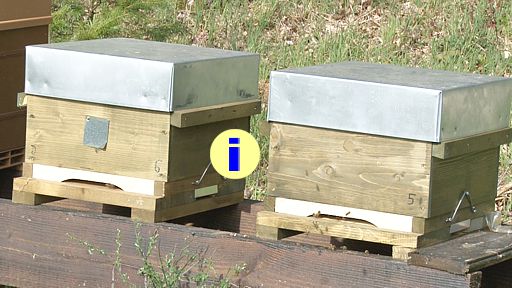 Un avis différent pour ce qui concerne la ruche Warré