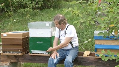 Une Apiculture respectueuse des abeilles