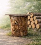 Ruche naturelle dite ruche-Tronc
