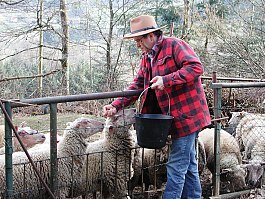 Bernard NICOLLET - Prendre soin de ses animaux, une véritable passion