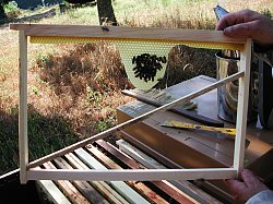 Dans un cadre à jambage, on n'utilise pas de feuille de cire gaufrée mais seulement une bande amorce sur laquelle les abeilles vont se pendre et se mettre en grappe pour dresser leur cire