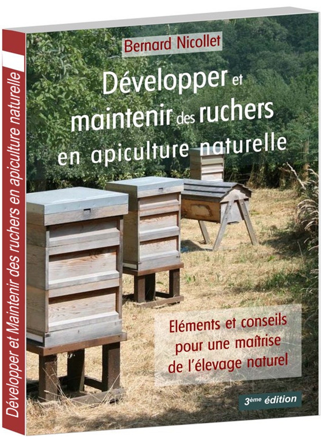 Comment élever des abeilles et les multiplier