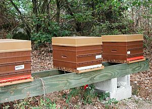 installation de vos ruches sur place. Nous intervenons sur tout le territoire national métropolitain.