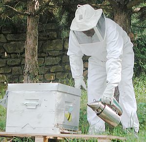 Pour quelle tenue d'apiculteur allez-vous opter