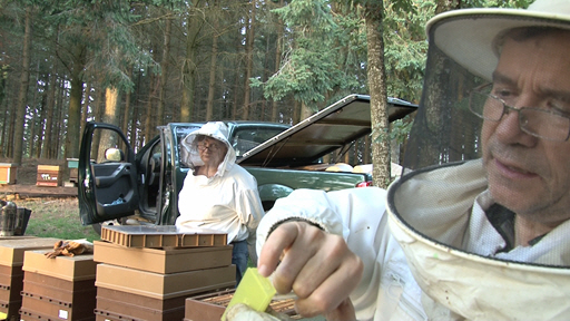 Cours d'apiculture en ligne avec Bernard NICOLLET 