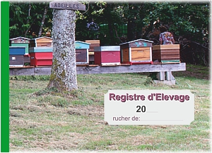 Le Registre d'élevage est obligatoire dès la 1ère ruche !