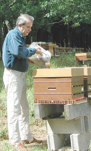 la surveillance des abeilles: un devoir