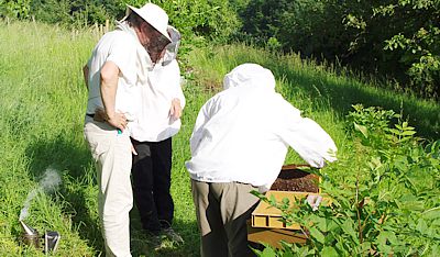 Venez participer à un stage de formation en apiculture